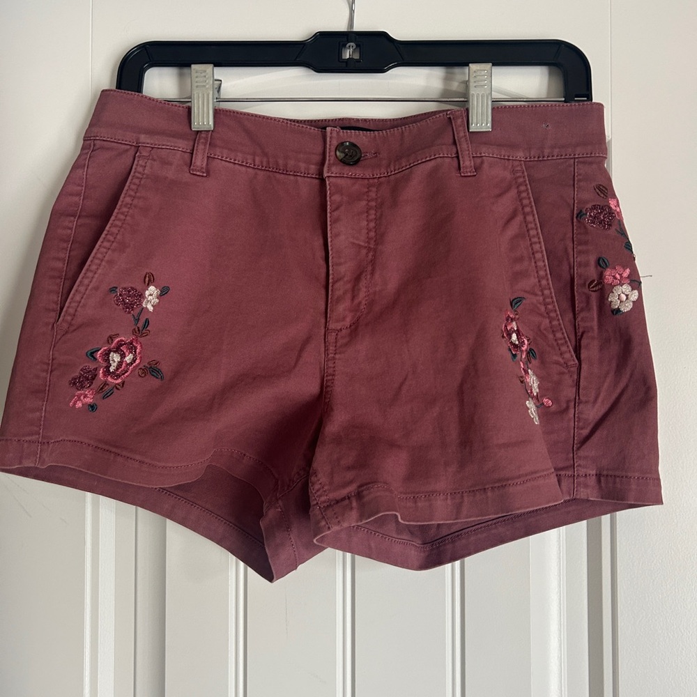 Express Shortie High Rise Shorts